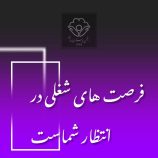 فرصتهای شغلی