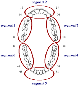 sextants of tooth