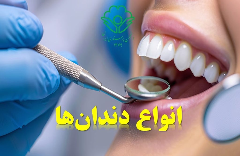 انواع دندان‌ها