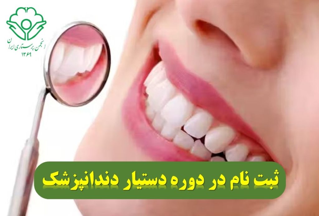 انواع دندان‌ها