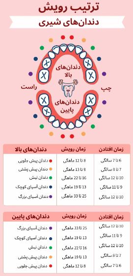 دندان های شیری